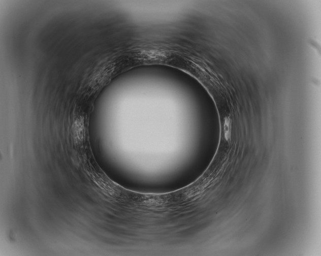 X0000097641395200802291353