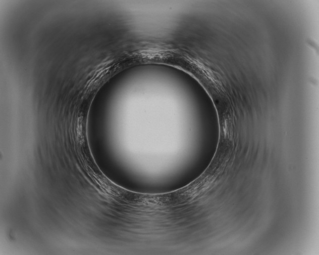 X0000097641396200802291353