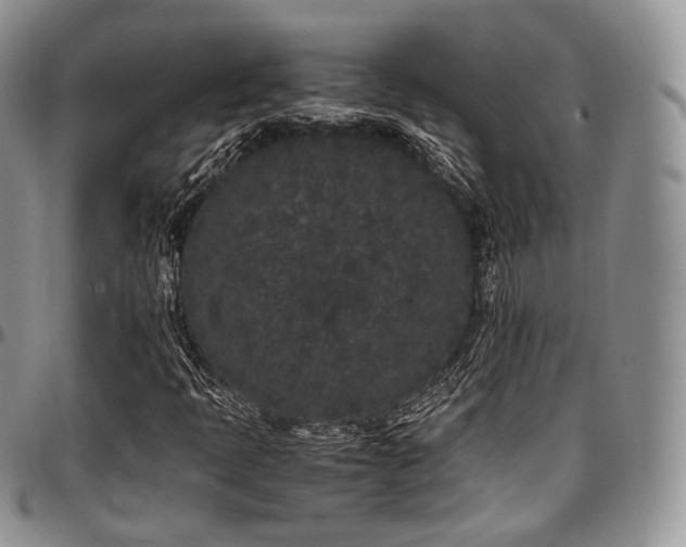 X0000097641397200802291353