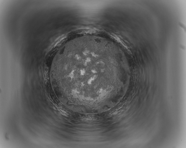 X0000097641399200802291353