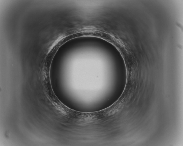 X0000097641400200802291353