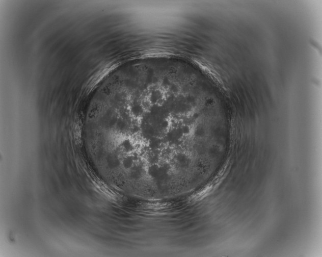 X0000097641401200802291353