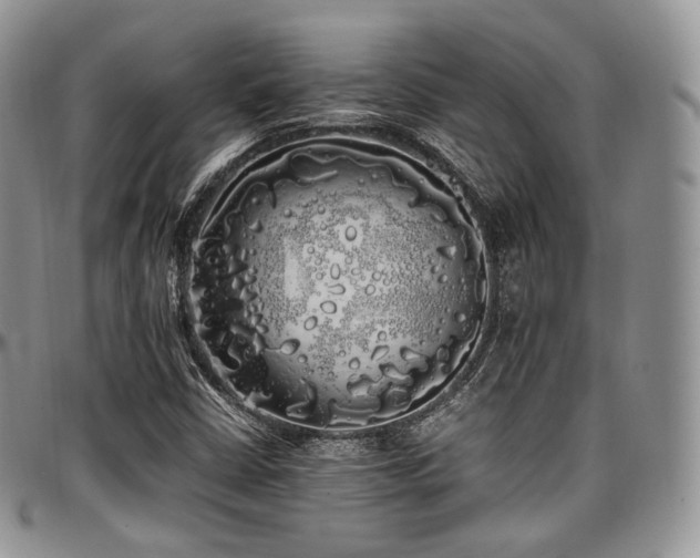 X0000097641402200802291353
