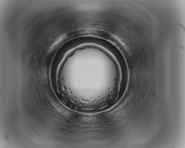 X0000097641403200802291353