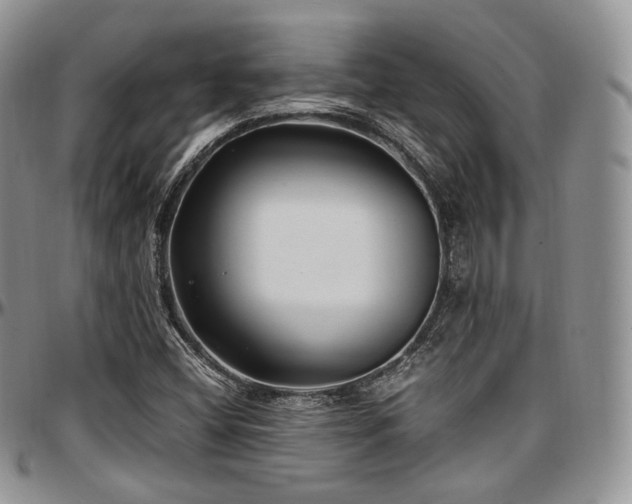 X0000097641404200802291353