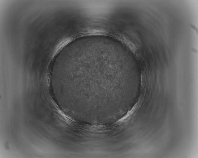 X0000097641405200802291353