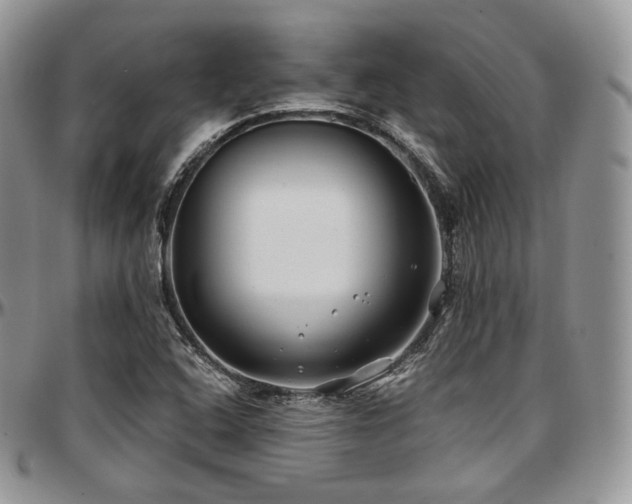 X0000097641408200802291353