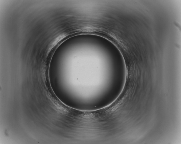 X0000097641410200802291353