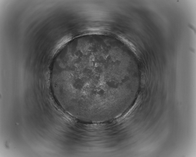 X0000097641411200802291353