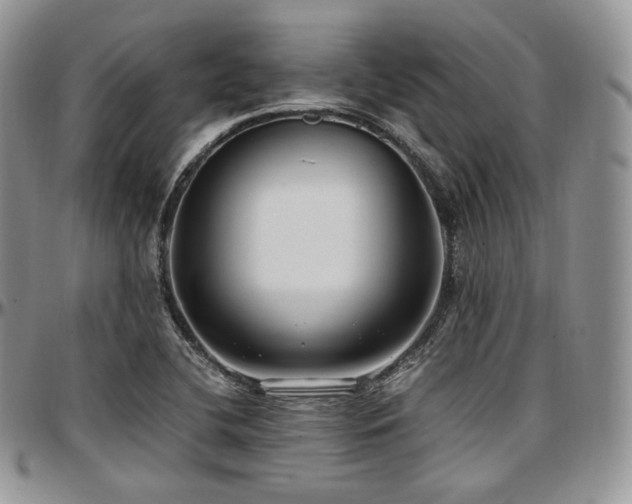 X0000097641412200802291353
