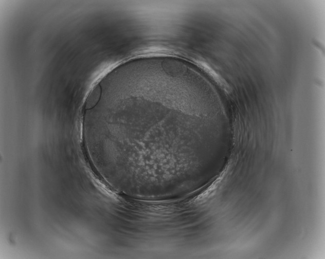 X0000097641413200802291353