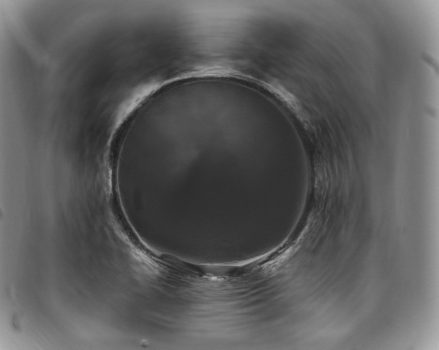 X0000097641414200802291353