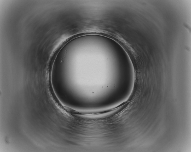 X0000097641416200802291353