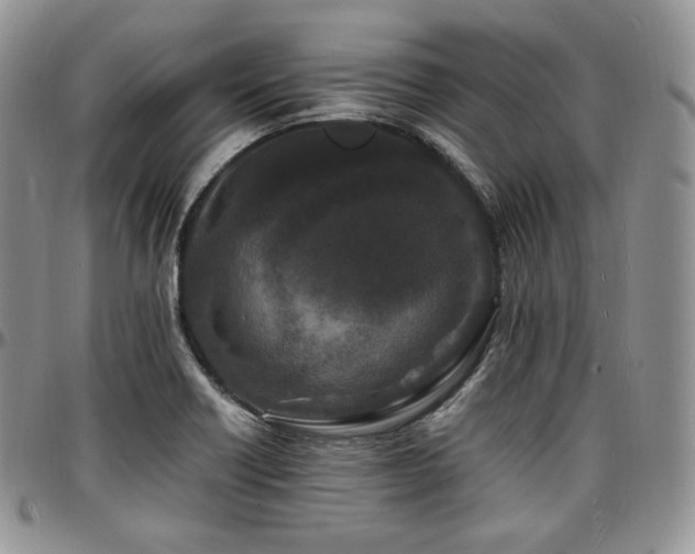 X0000097641418200802291353