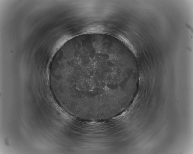 X0000097641419200802291353
