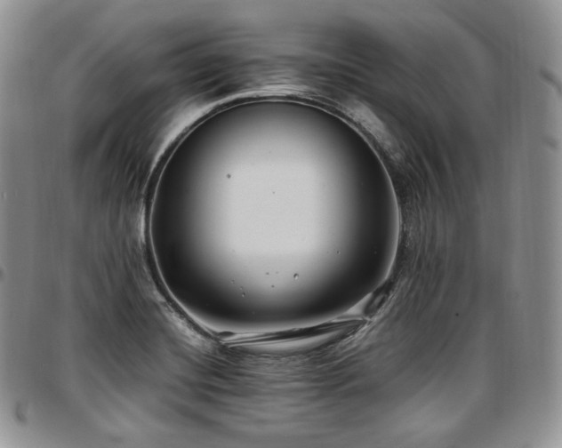 X0000097641420200802291353