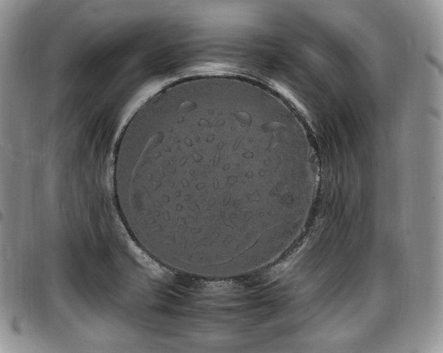 X0000097641421200802291353