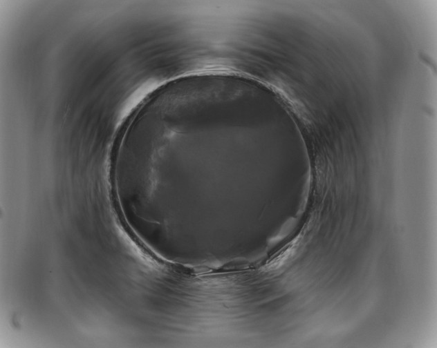 X0000097641422200802291353
