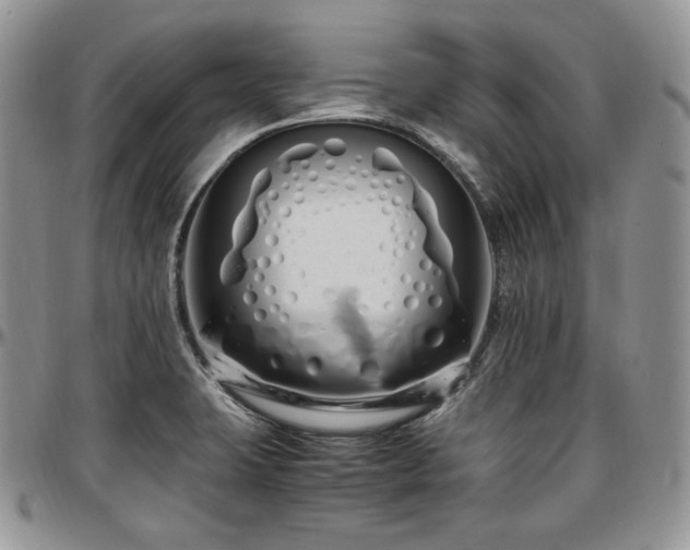 X0000097641423200802291353