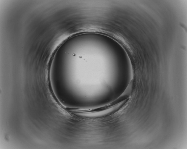 X0000097641424200802291353