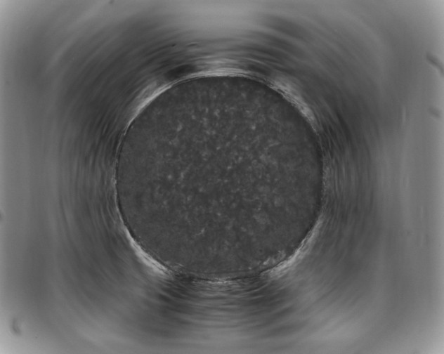 X0000097641425200802291353