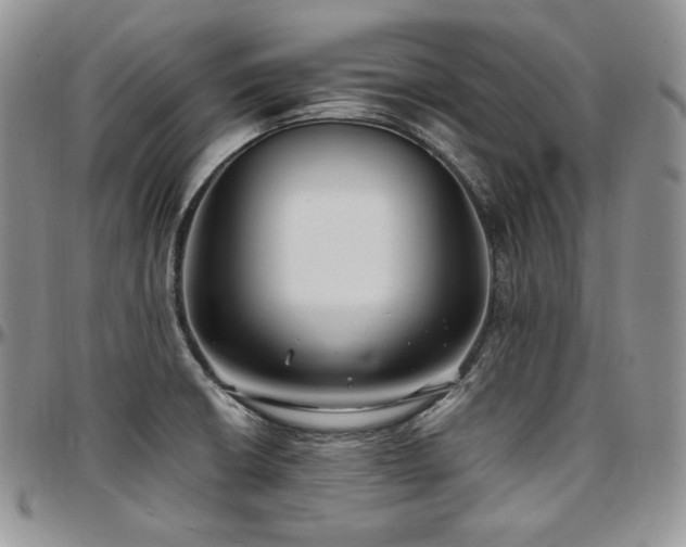 X0000097641426200802291353