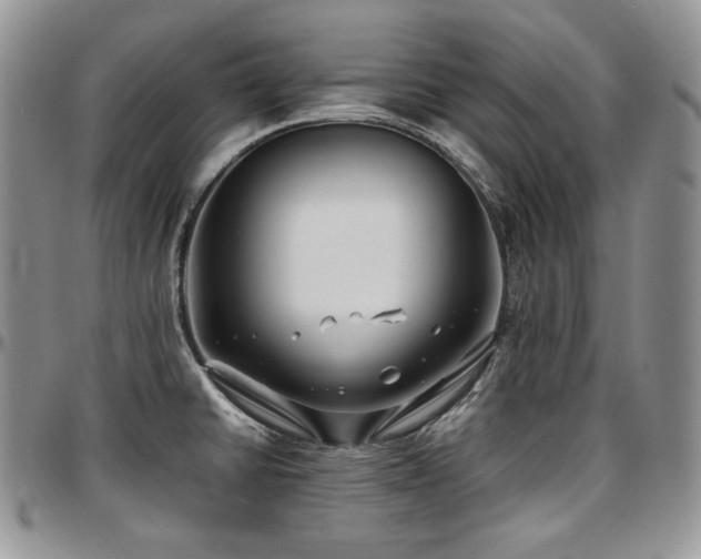 X0000097641430200802291353