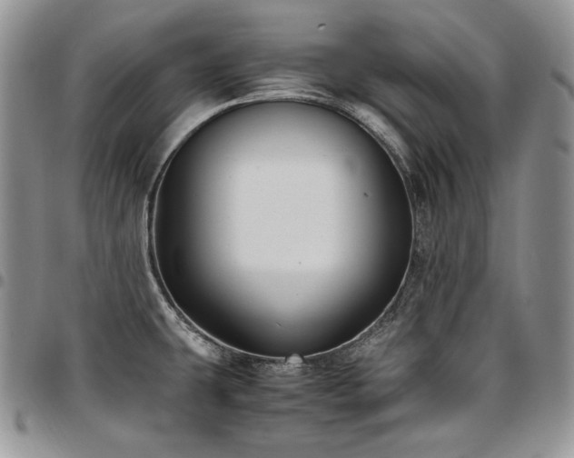 X0000097641431200802291353