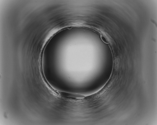 X0000097641432200802291353