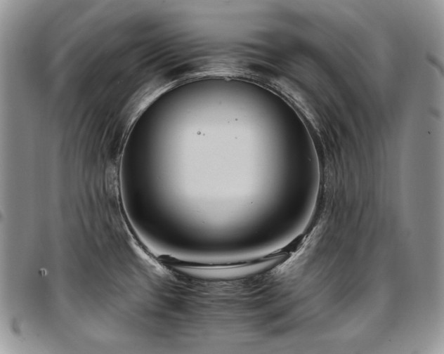 X0000097641433200802291353