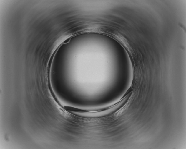 X0000097641434200802291353