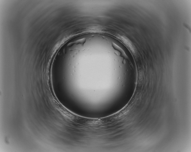 X0000097641435200802291354