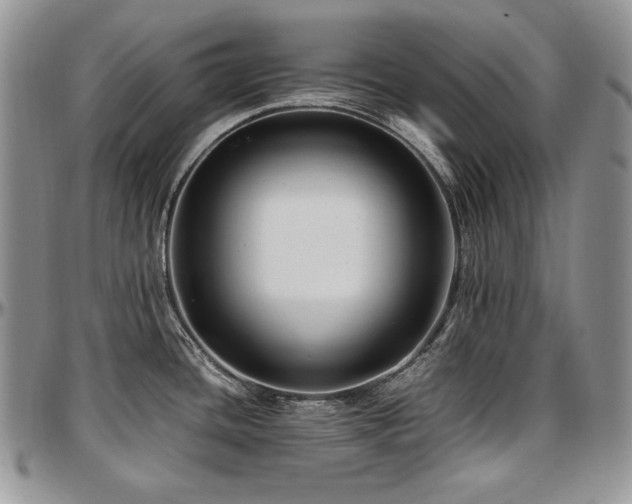 X0000097641436200802291354