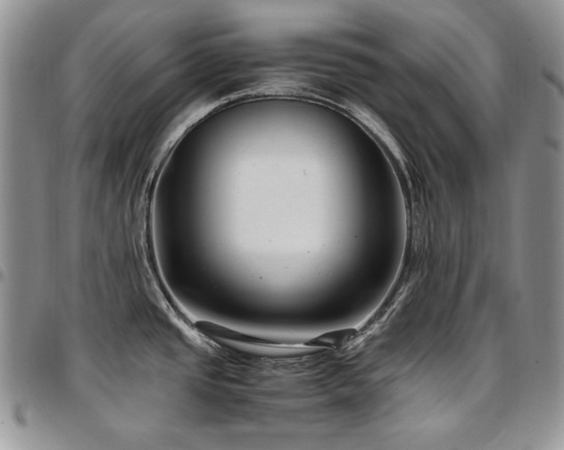 X0000097641437200802291354