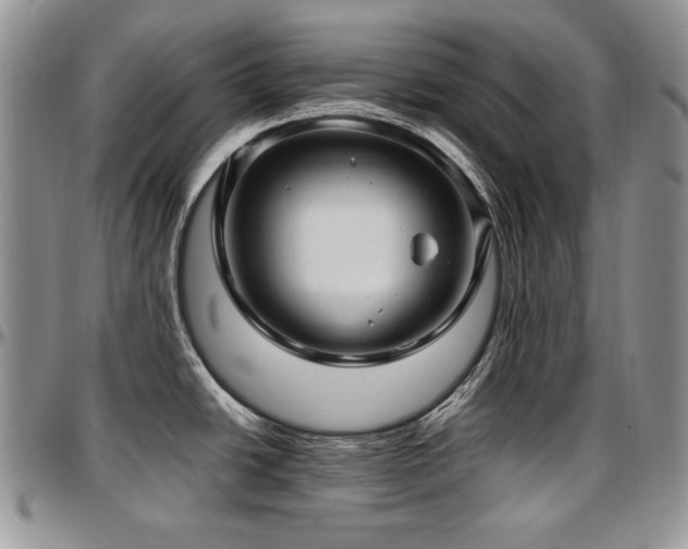 X0000097641438200802291354