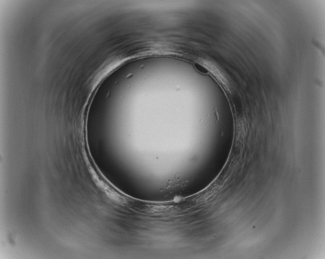 X0000097641439200802291354