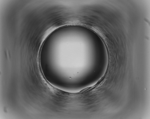 X0000097641440200802291354