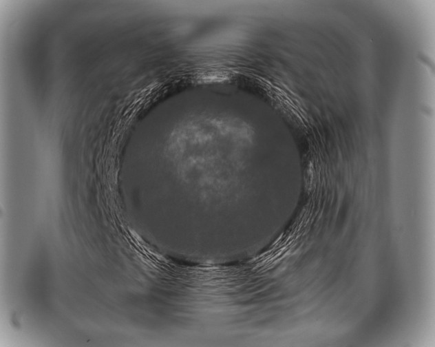 X0000097641441200802291353