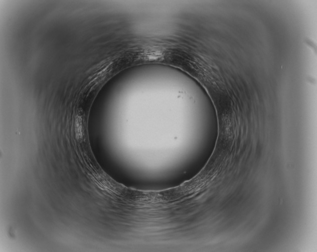X0000097641442200802291353