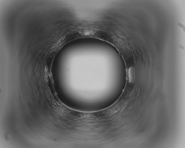 X0000097641443200802291353