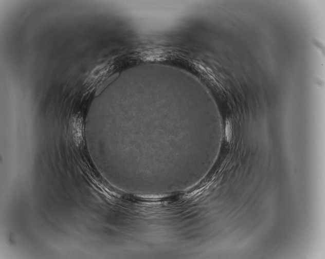 X0000097641444200802291353