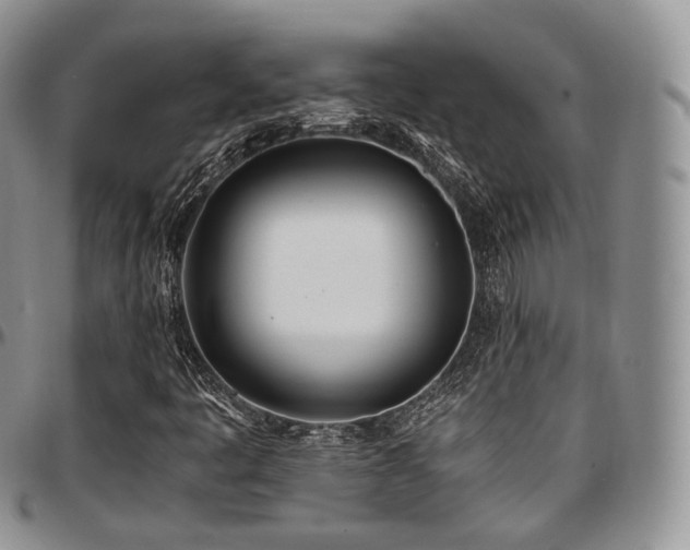 X0000097641445200802291353