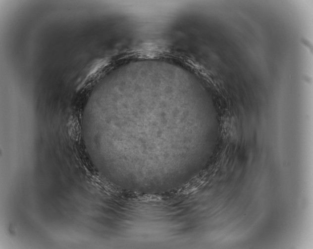X0000097641446200802291353