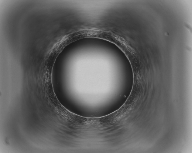 X0000097641447200802291353