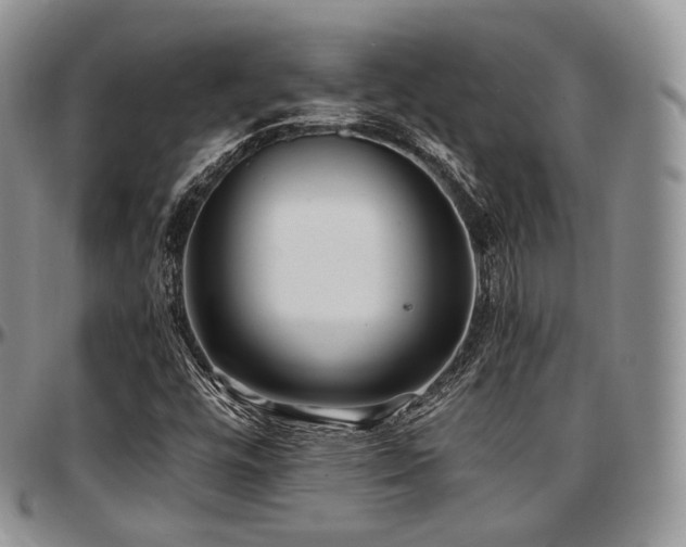 X0000097641448200802291353