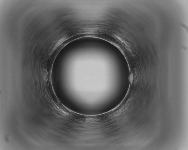 X0000097641449200802291353