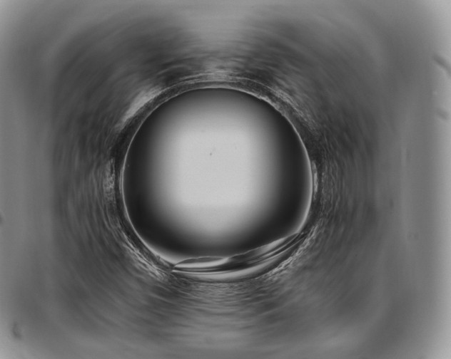 X0000097641450200802291353