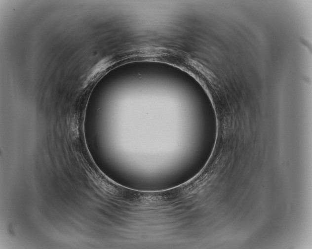 X0000097641451200802291353