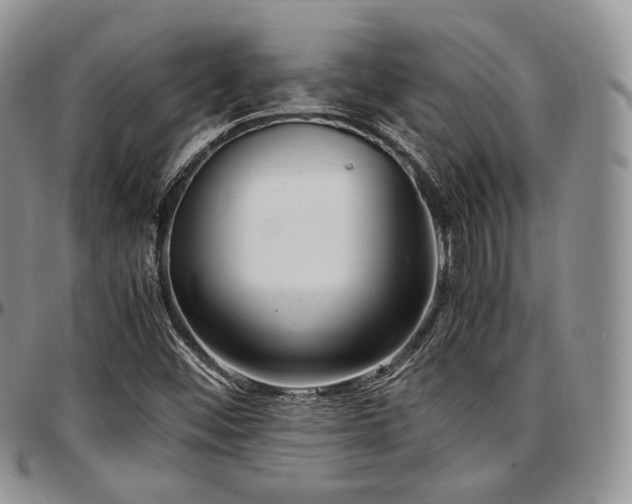 X0000097641452200802291353