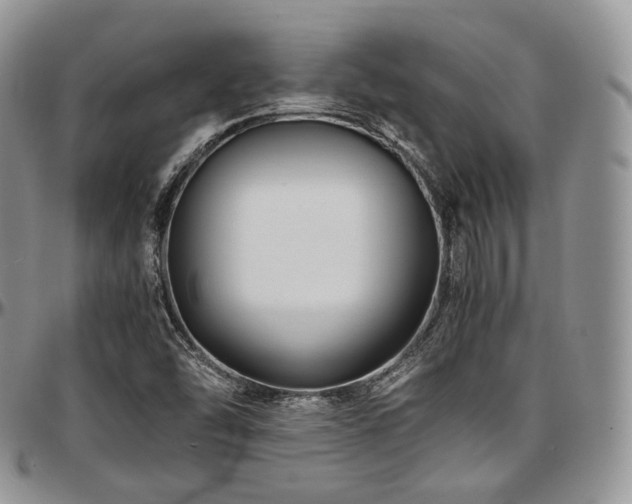 X0000097641454200802291353